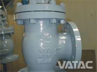 Angle Globe Valve