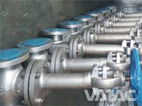 Cryogenic Globe Valve