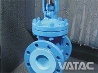 Rising Stem Resilient Seated Gate Valve