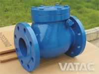 Swing Check Valve