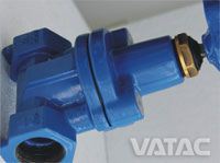 Threaded Gate Valve