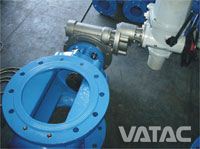 Eccentric Plug Valve