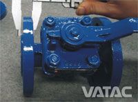 Sleeved Plug Valve