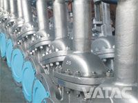 Bellow Sealed Gate Valve