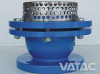 Foot Valve VT2502