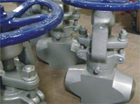 Forged T Style Globe Valve