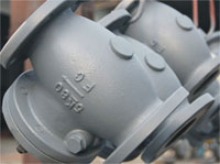 Marine Check Valve